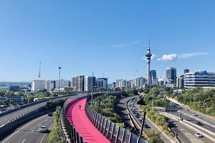 Private Driver For 2 Days From Auckland - Flexible Custom Tour - Photo 1 of 21